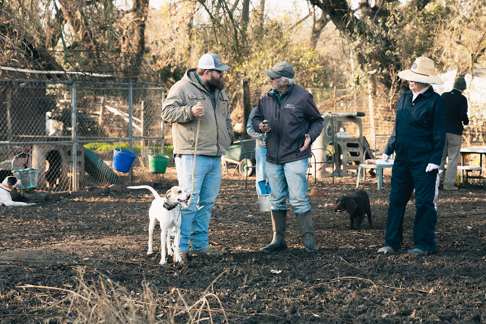 Twer Kennels